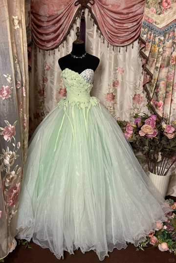 Vintage Light Green Ball Gown One Shoulder Flower Organza Long Prom Dress Evening Dress HZ1023
